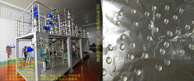 祝賀國(guó)內(nèi)首套釜式連續(xù)加氫中試成套裝置一次出料成功！.jpg